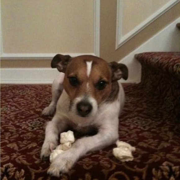 Meet your Posher, Paula - Picture 10 of 16